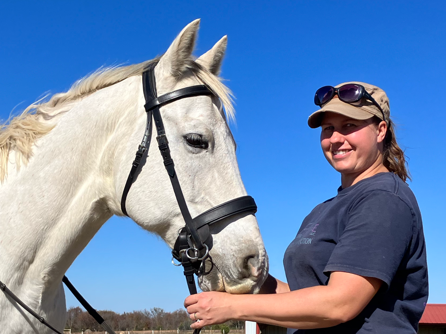 Horsemanship/Riding Lessons