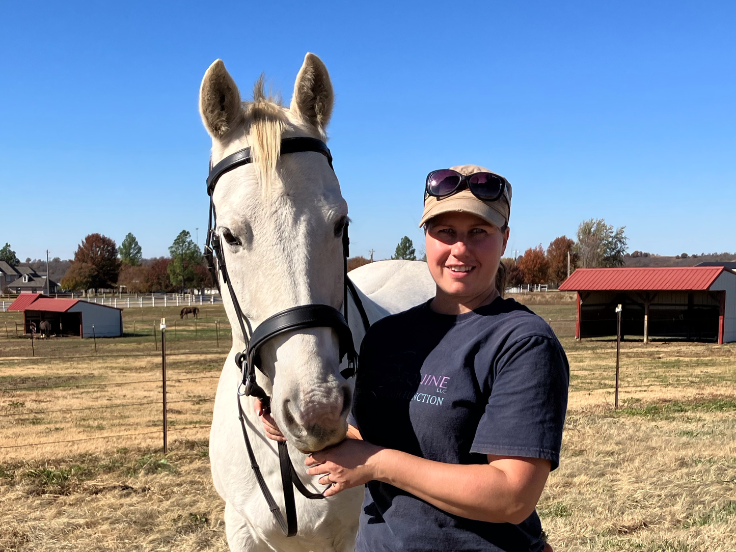 Horsemanship/Riding Lessons