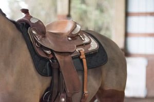 Equine Therapeutic Western Saddle Pad