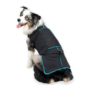 Canine Comfort & Care Shirt
