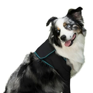 Canine Comfort & Care Sleeves (Front)