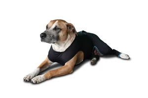 Canine Comfort Suit