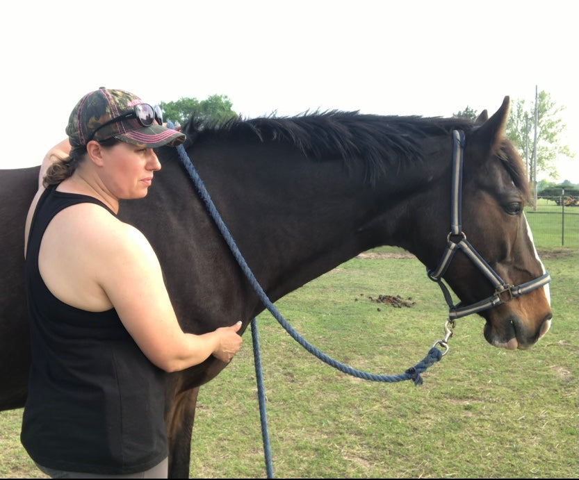Equine Bodywork Session