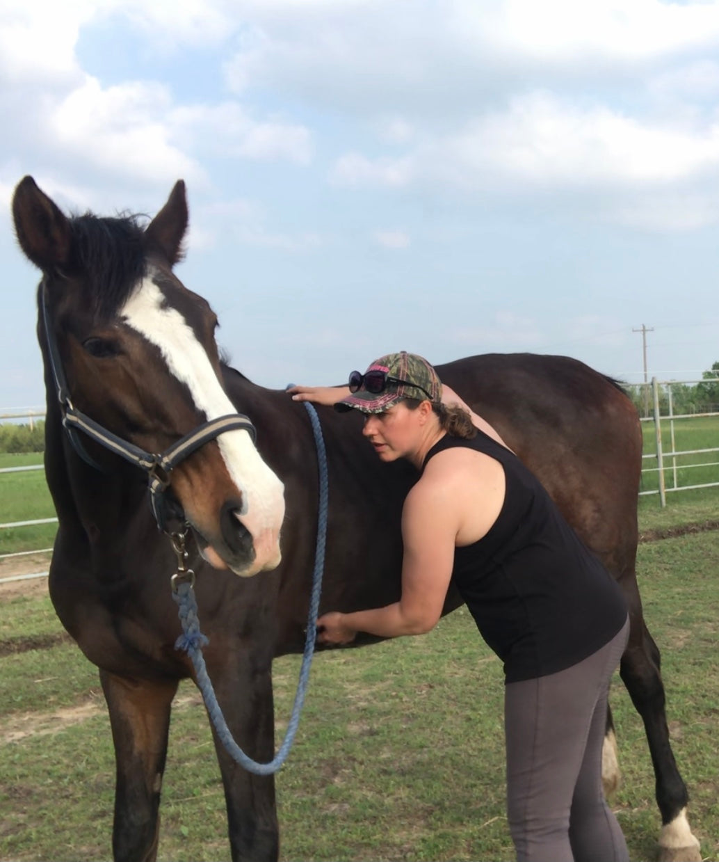 Equine Functional Posture & Movement Training