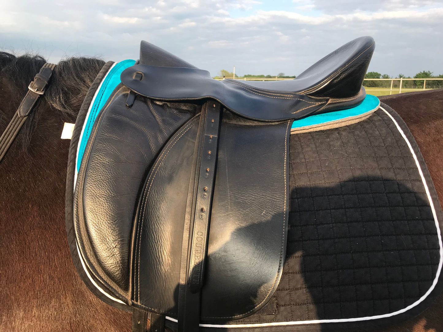 Saddle: Ansur Classic Treeless