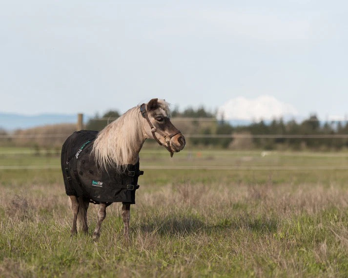 Equine Rejuvenate Mini-SmartScrim