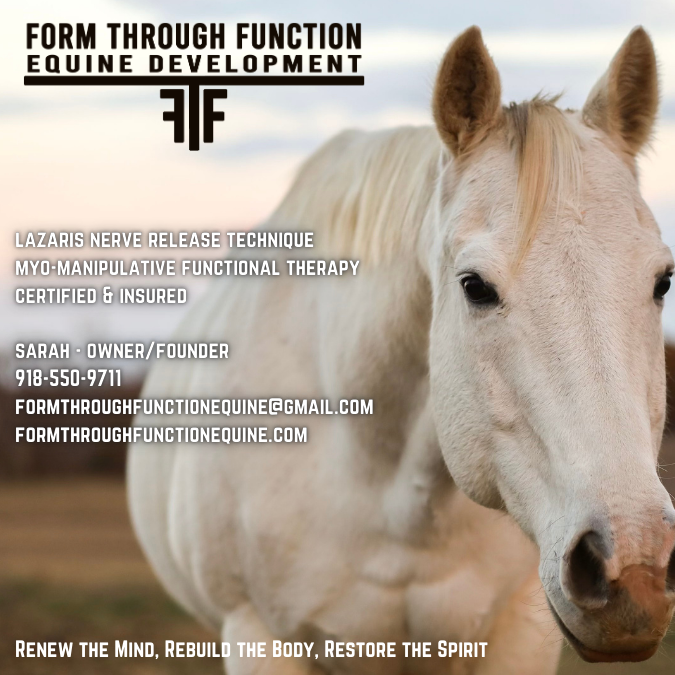 Equine Bodywork Session