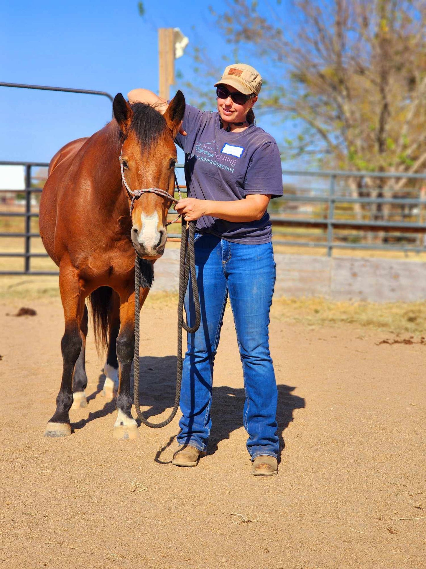 Equine Bodywork Session