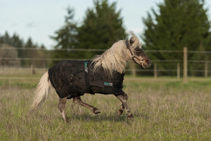 Equine Rejuvenate Mini-SmartScrim