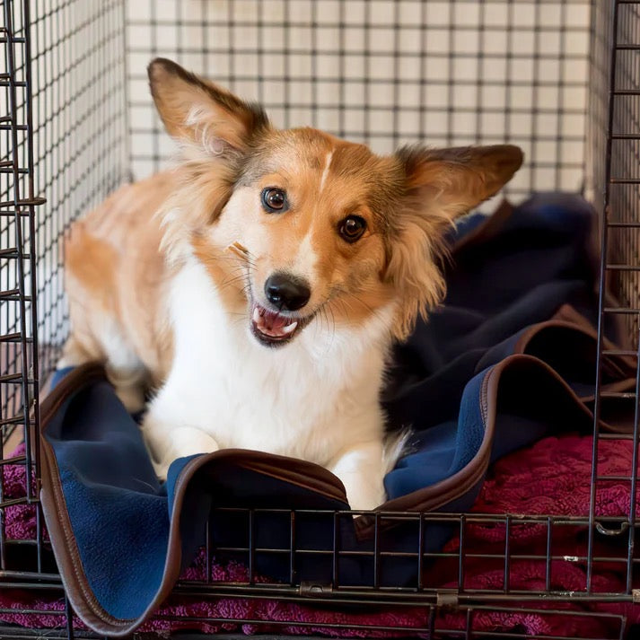 Canine Therapeutic Bed Liner